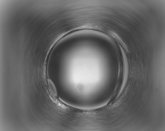 X0000057560900200509161000