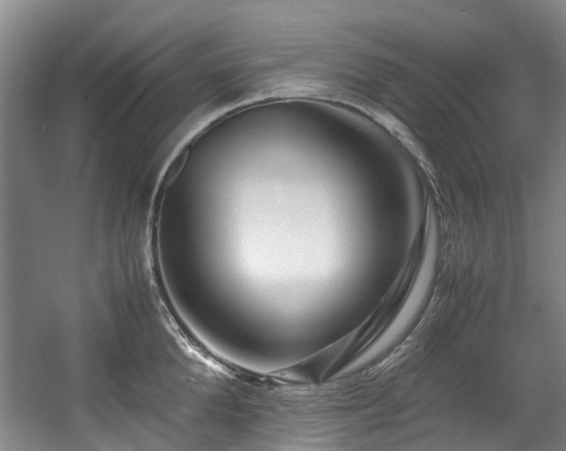 X0000057560904200509161000
