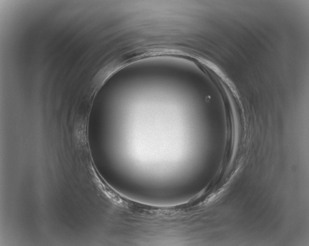 X0000057560905200509161000