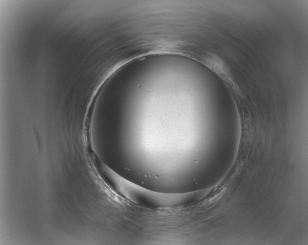 X0000057560908200509161000