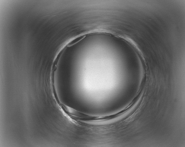 X0000057560910200509161000