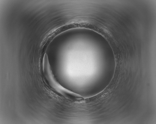 X0000057560920200509160959