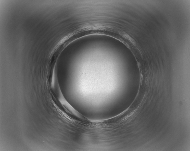 X0000057560922200509160959