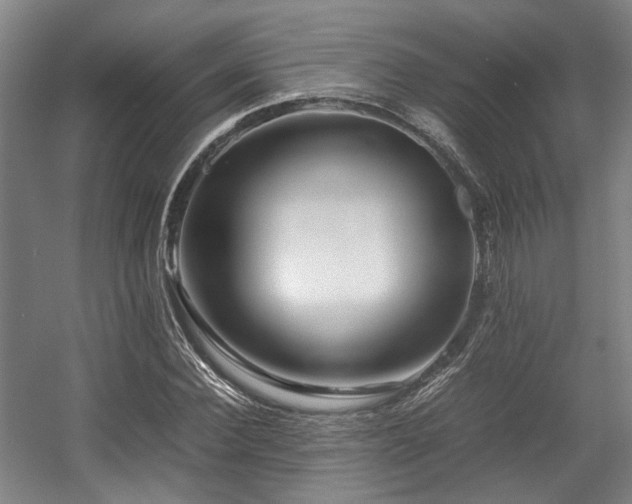 X0000057560924200509160959