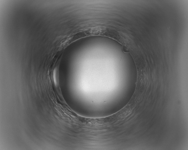X0000057560962200509160959