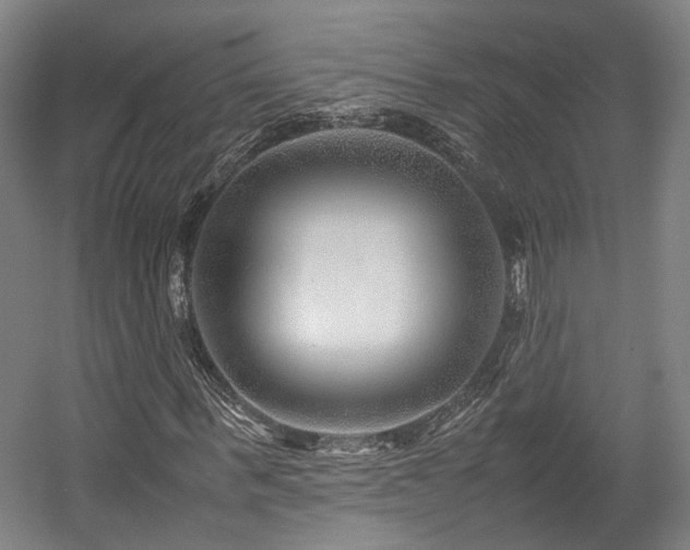 X0000057560963200509160959