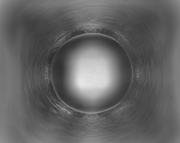 X0000057560964200509160959