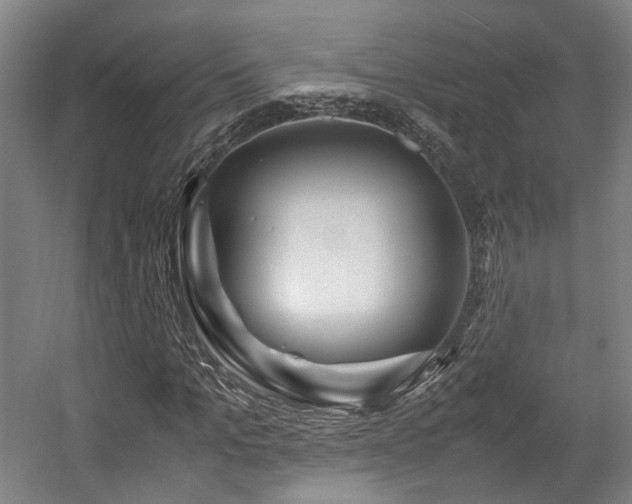 X0000057560965200509160959