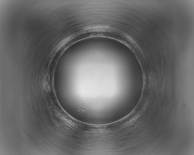 X0000057560970200509160959