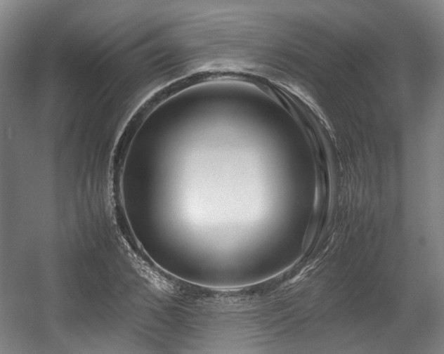X0000057560976200509160959