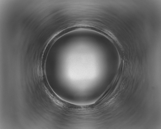 X0000057560980200509160959