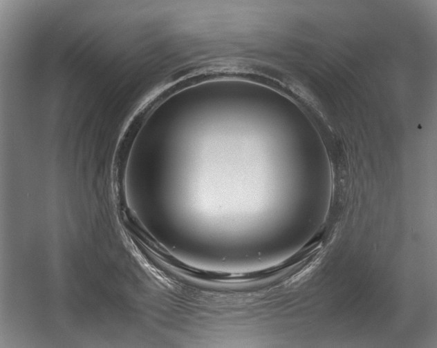 X0000057560981200509160959