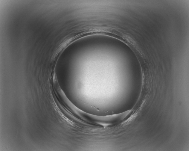 X0000057560985200509160959