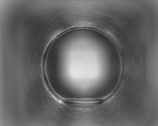 X0000057560990200509160958