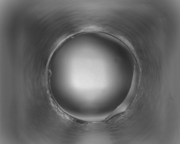X0000057561008200509160958