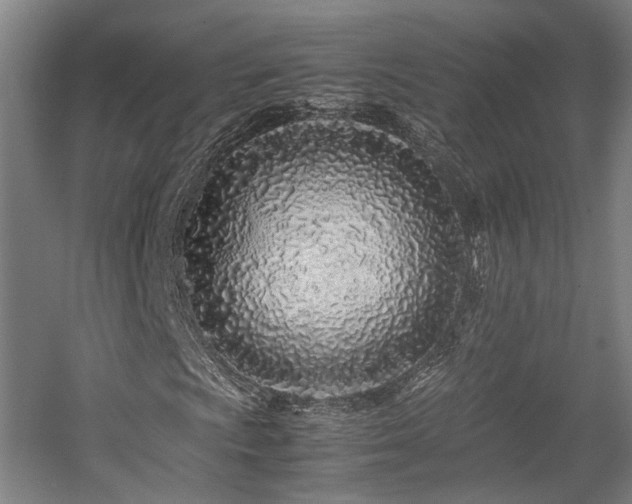 X0000057561009200509160957