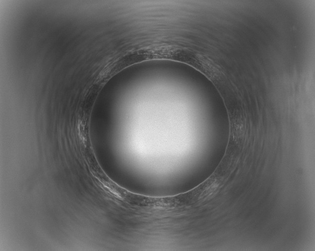 X0000057561010200509160957