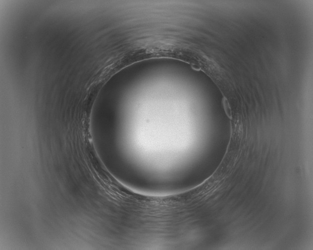 X0000057561012200509160957