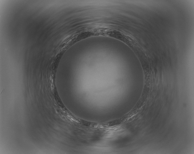 X0000057561013200509160957