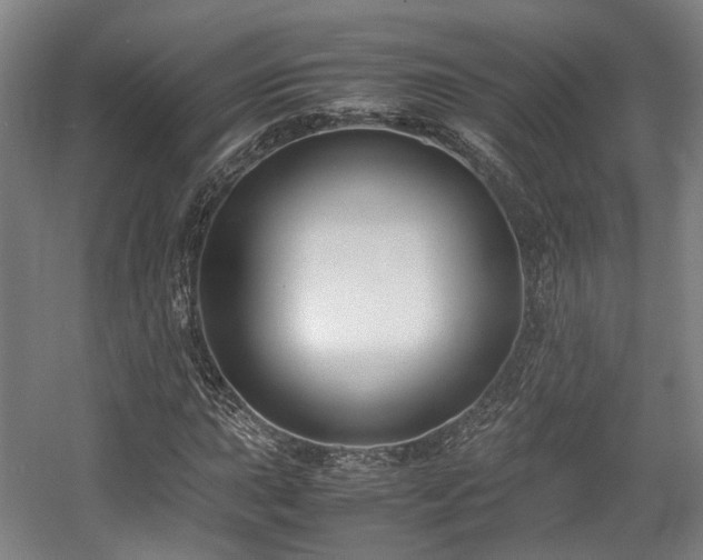 X0000057561015200509160957