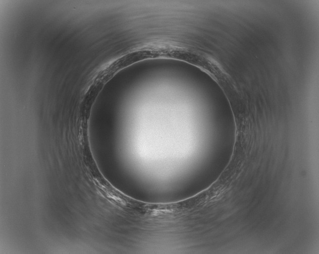 X0000057561016200509160957