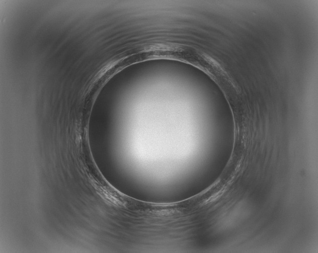X0000057561017200509160957