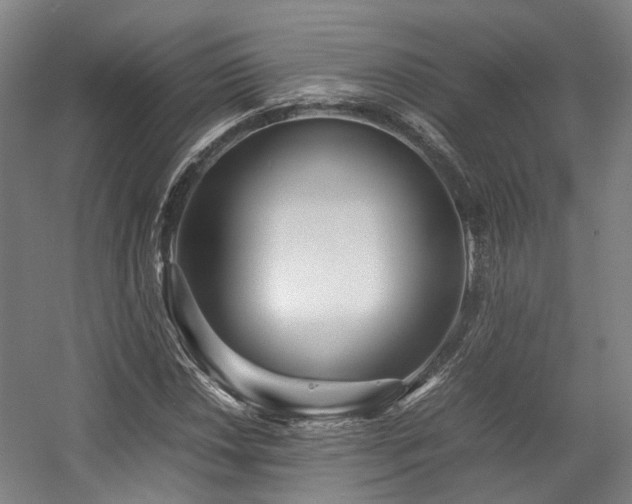 X0000057561018200509160957