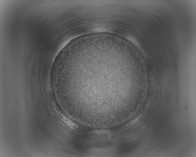 X0000057561023200509160958