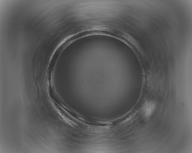 X0000057561024200509160958