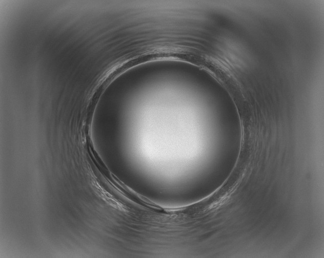 X0000057561025200509160958