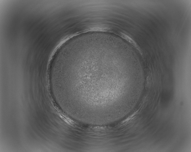 X0000057561027200509160958