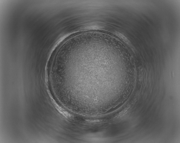 X0000057561031200509160958