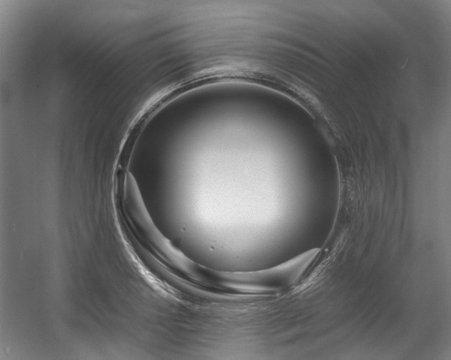 X0000057561034200509160958