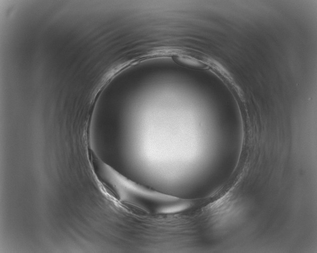 X0000057561049200509160958