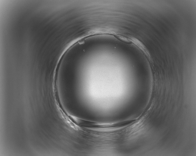 X0000057561052200509160958