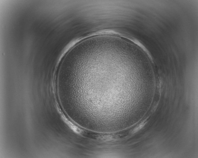 X0000057561054200509160958