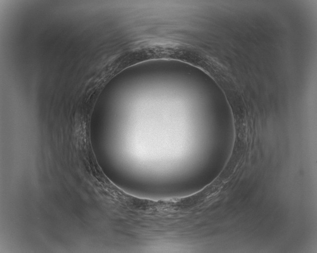 X0000057561061200509160957