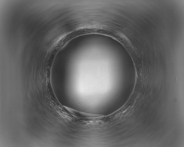 X0000057561064200509160957