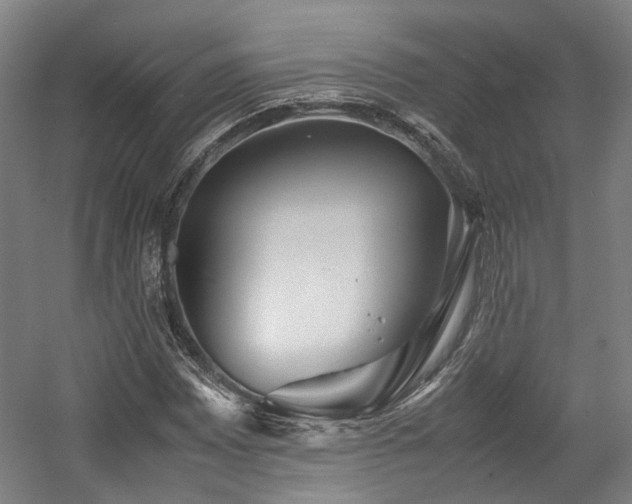 X0000057561065200509160957