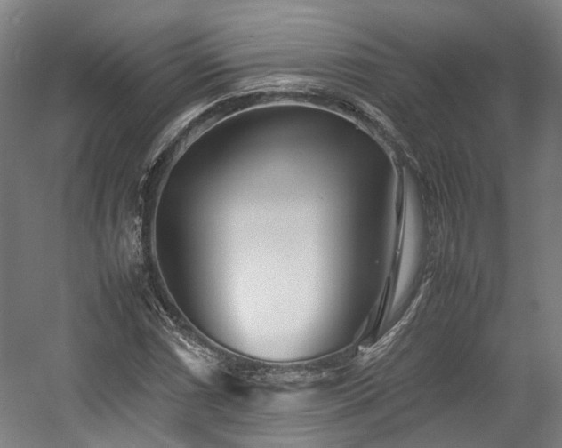 X0000057561066200509160957