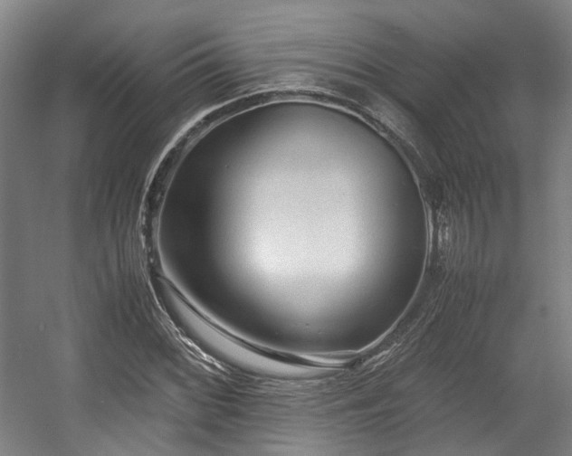 X0000057561068200509160957