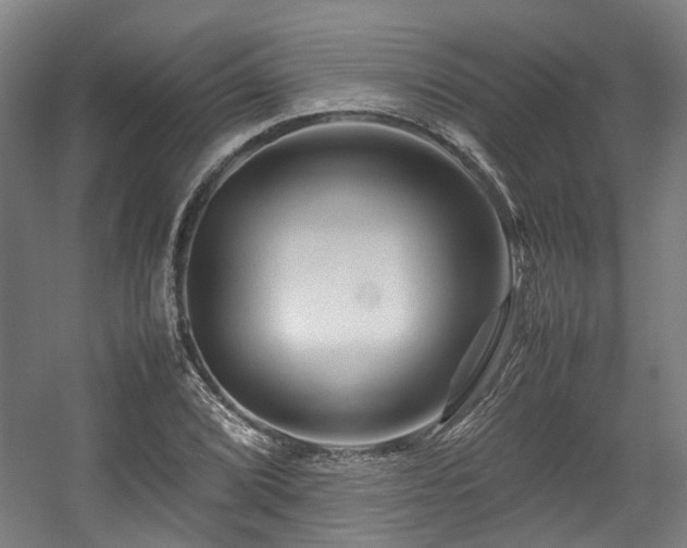 X0000057561072200509160957
