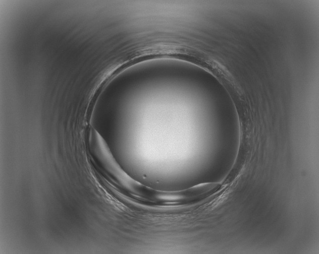 X0000057561081200509160957