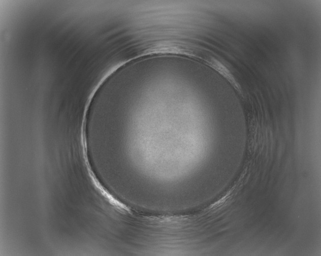 X0000057561084200509160957