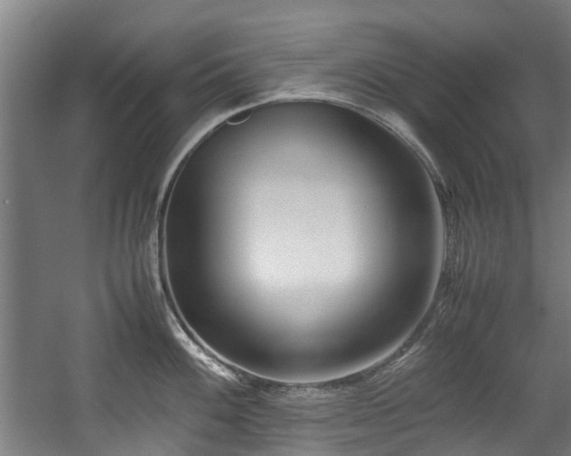 X0000057561100200509160957
