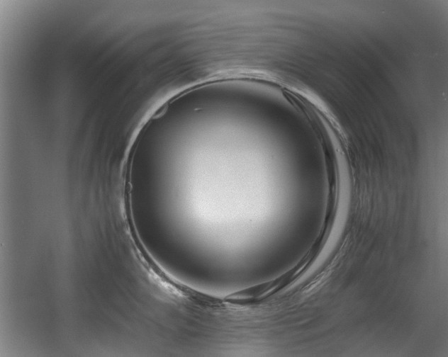 X0000057561102200509160957