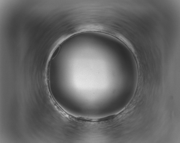 X0000057561104200509160956