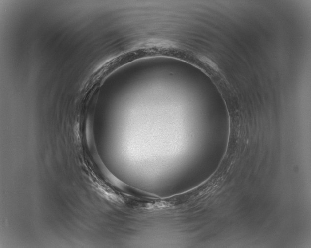 X0000057561112200509160956