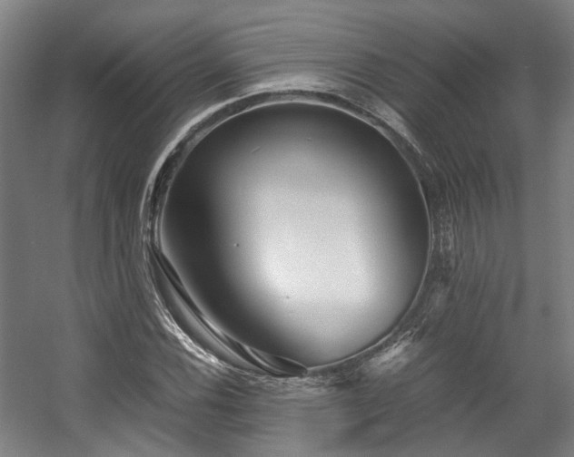 X0000057561116200509160956
