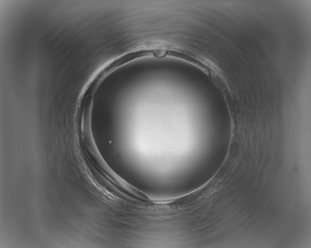X0000057561120200509160956